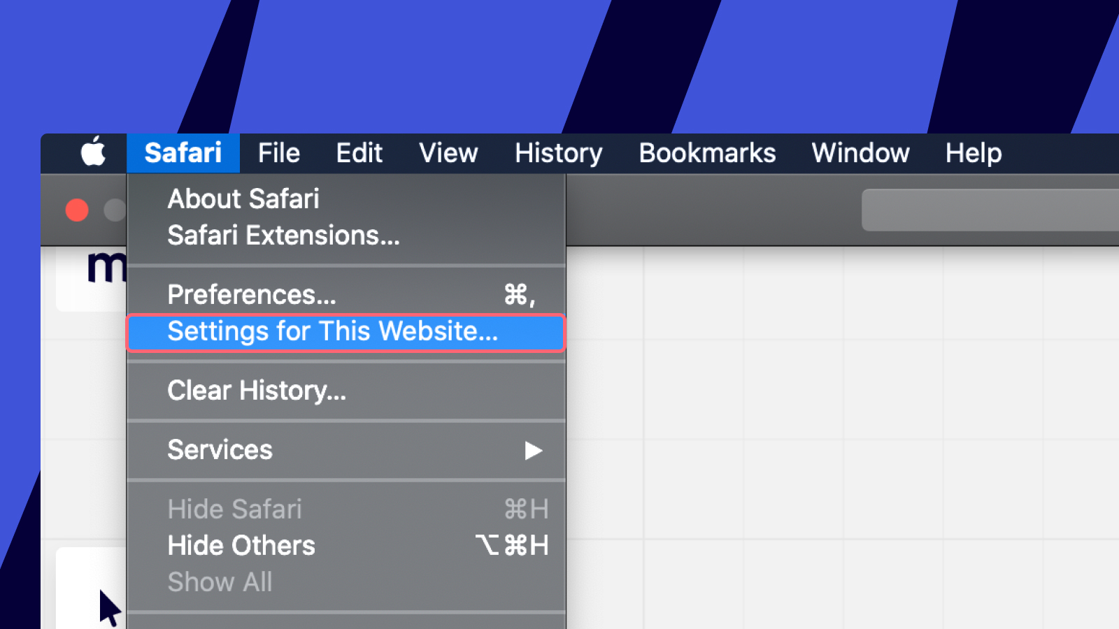 Safari_settings_for_Miro.jpg